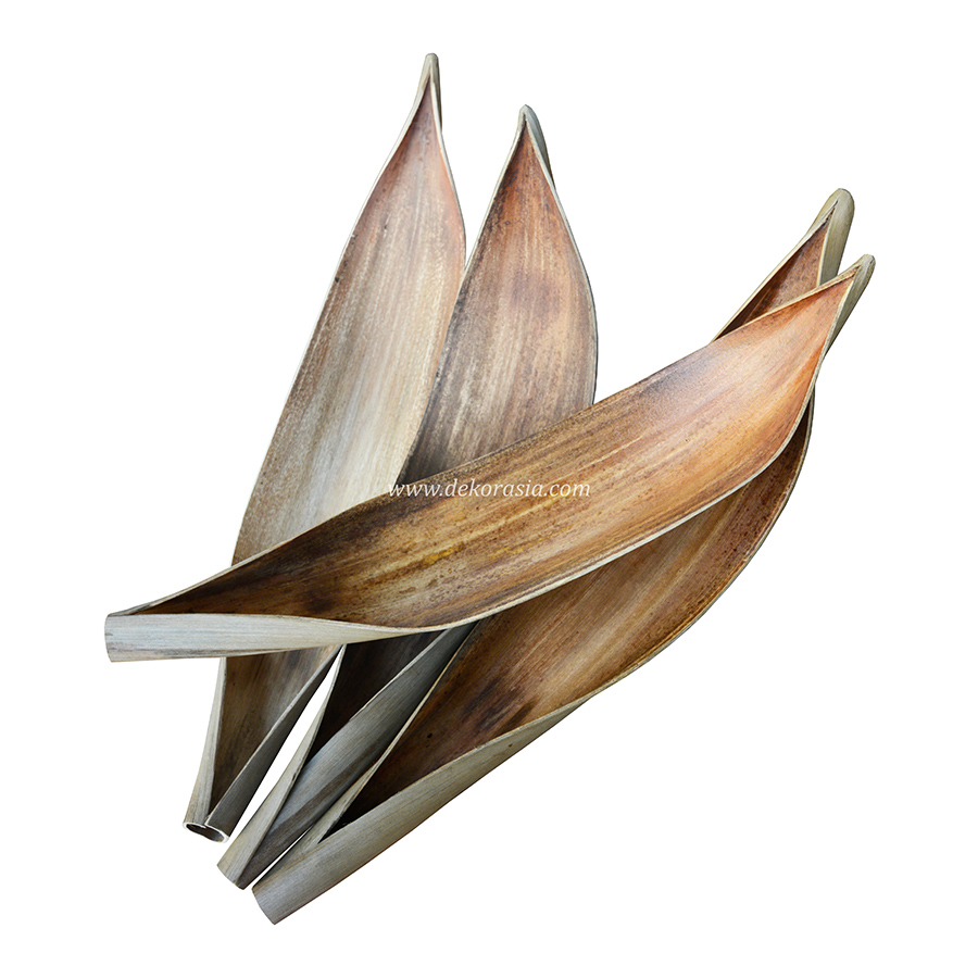 Coconut Leaf Java Wood For Cages, Unique Craft Decorative - Image 1