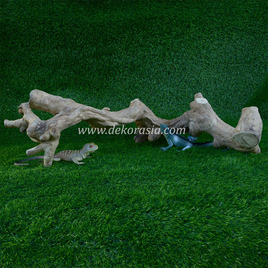 Coffee Wood Craft (Size L) - Coffee Wood for Reptile, Aquarium, Aquascaping - Image 2