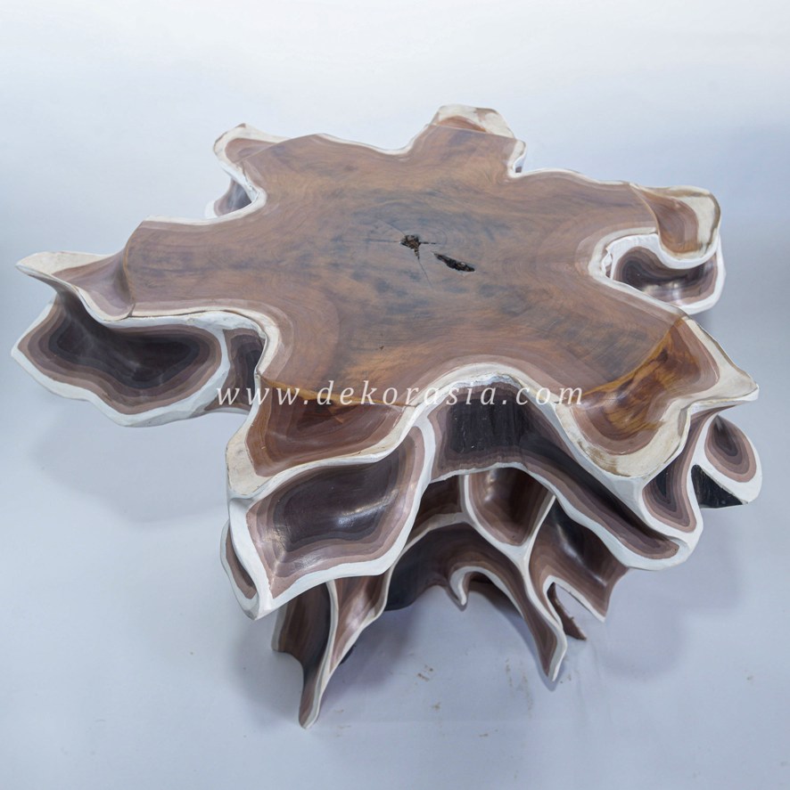 Natural Wooden Tables Unique, Organic Wooden Table for Living Room, Wooden Coffee Tables - Image 4
