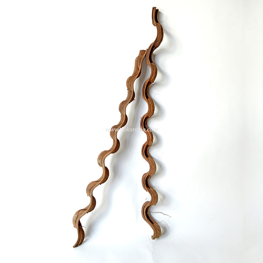 Sabla Vines Wood, Natural Java Wood For Cage, Wood Crafts Java Wood - Image 3