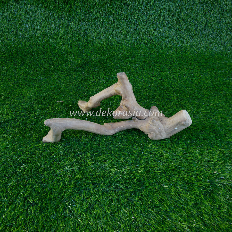 Coffee Wood Craft (Size S) for Reptile, Aquarium, Aquascaping - Coffee Wood Unique - Image 2