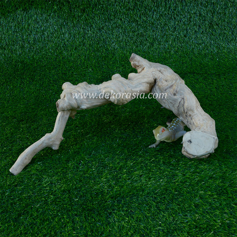 Coffee Wood (Size XS) for Reptile, Aquarium, Aquascaping - Coffee Wood Unique - Image 4